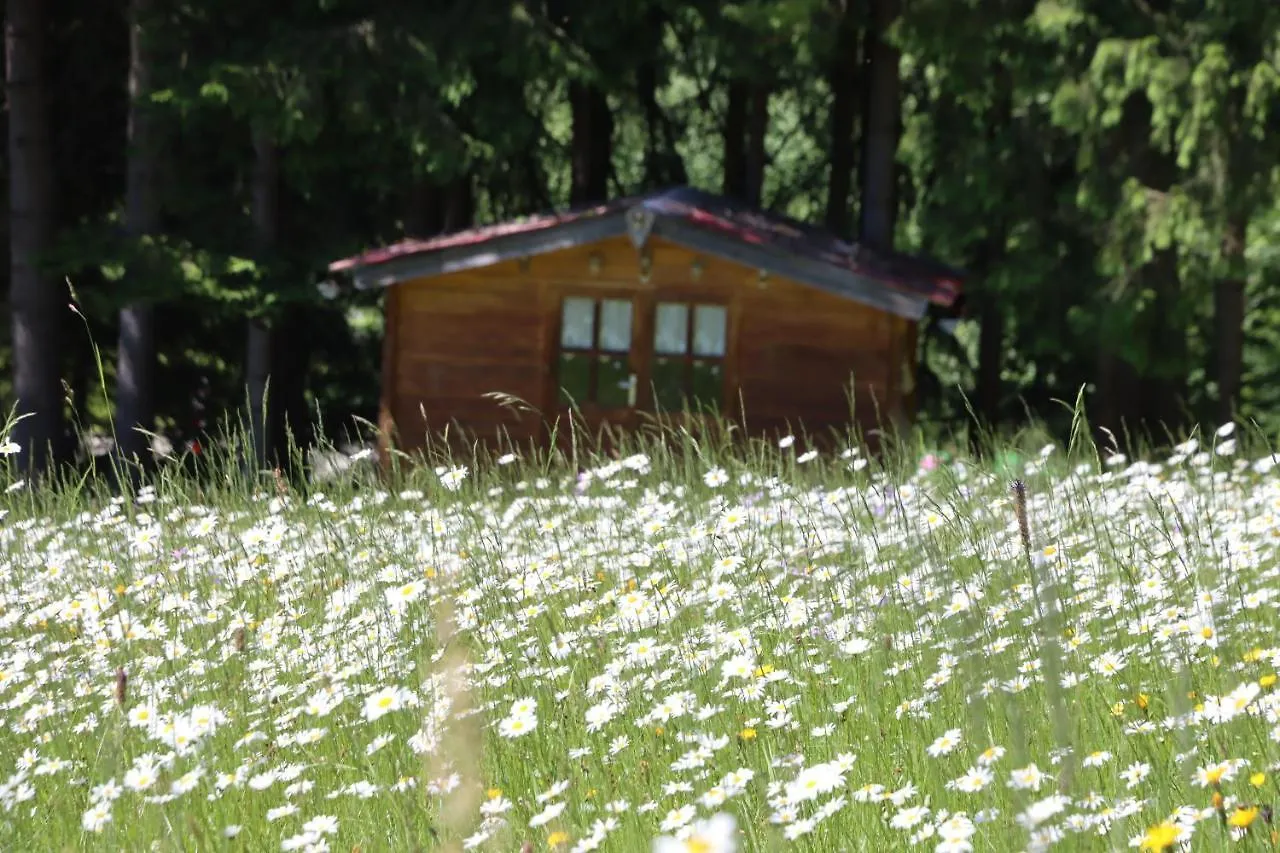Apartment Am Nationalpark Bayerwald Lindberg